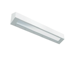 BAN | Wall Mount LED Prison Grade